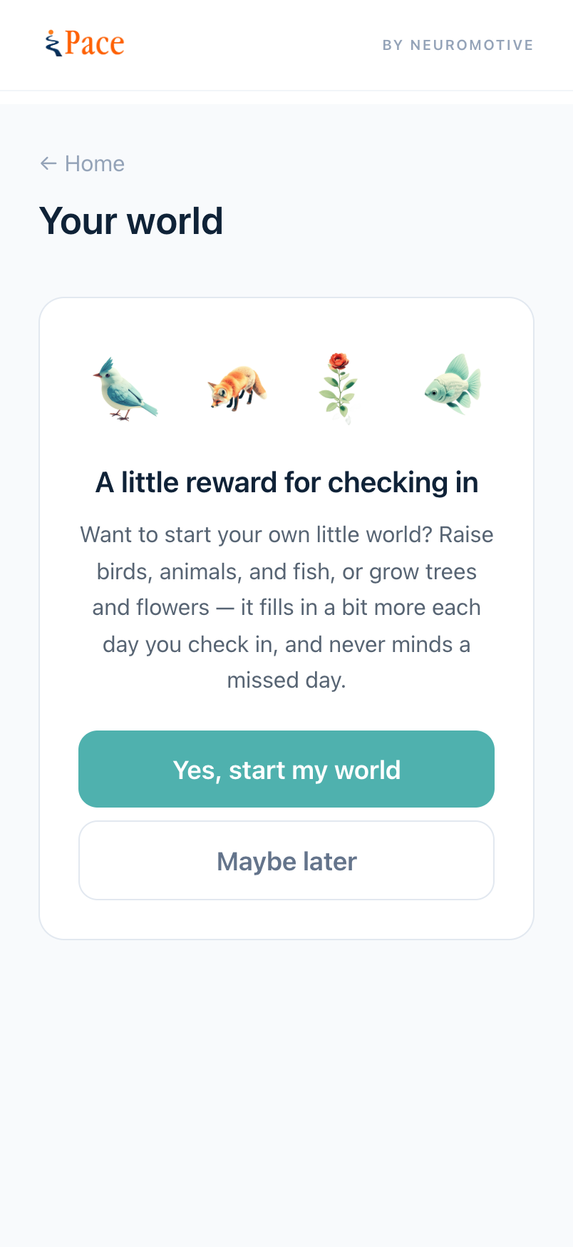 Reward options